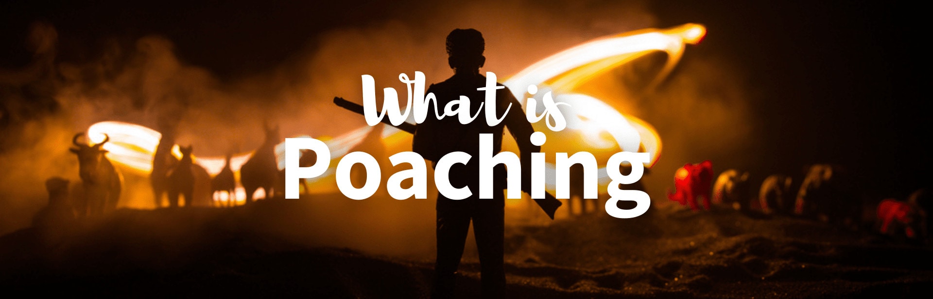What is Poaching and Why is It Practiced?