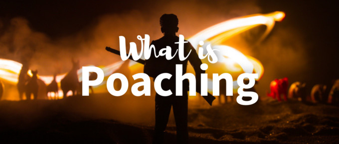 What is poaching featured image