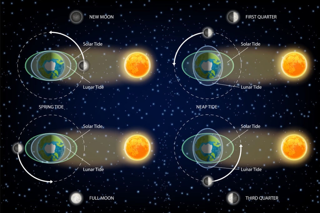 image diagram of solar and lunar tides