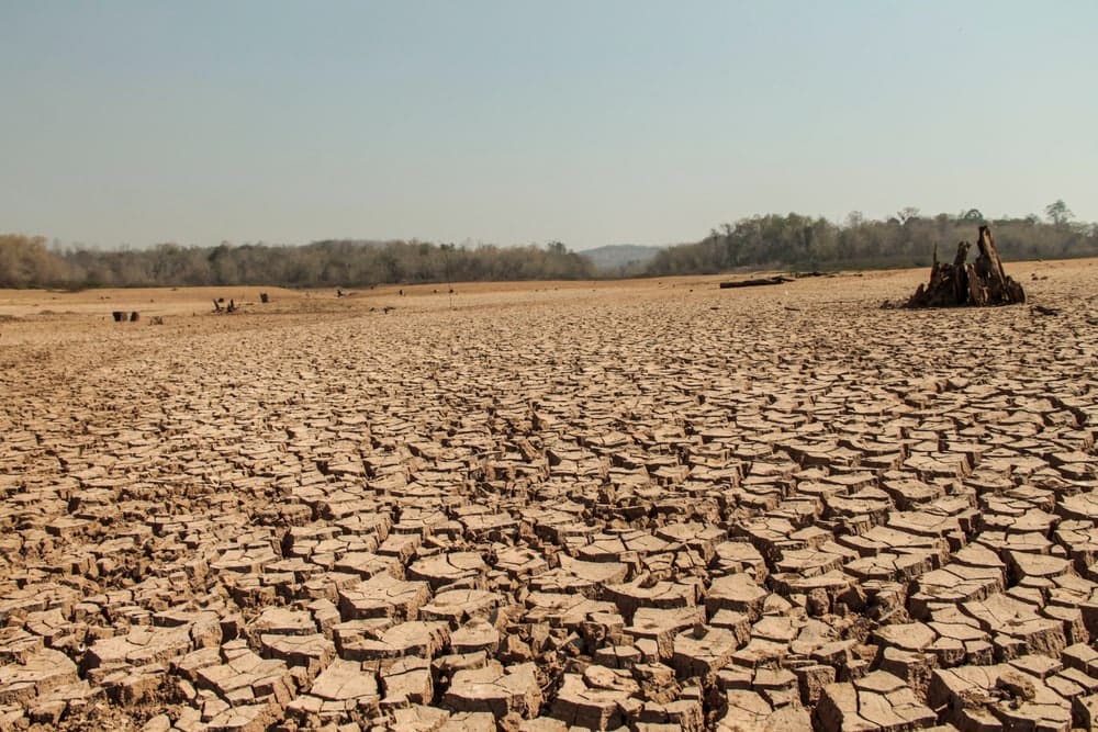 Drying land as sign of drought