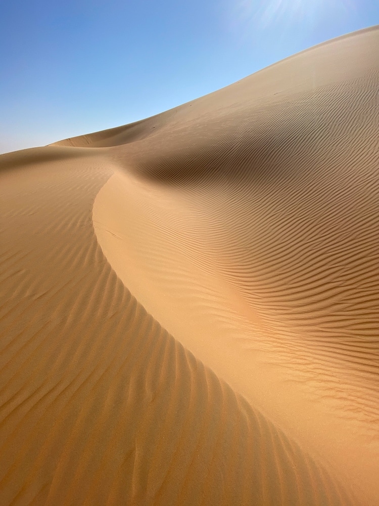 Image of a sand dune terrain