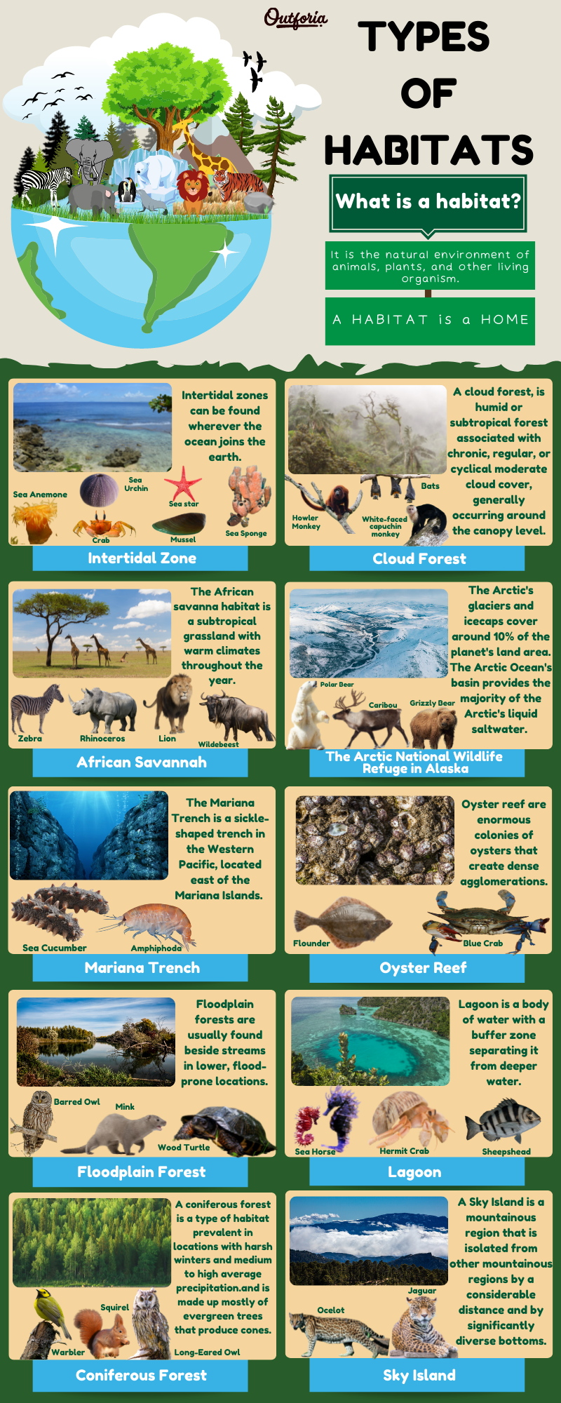 Types of habitats infographics