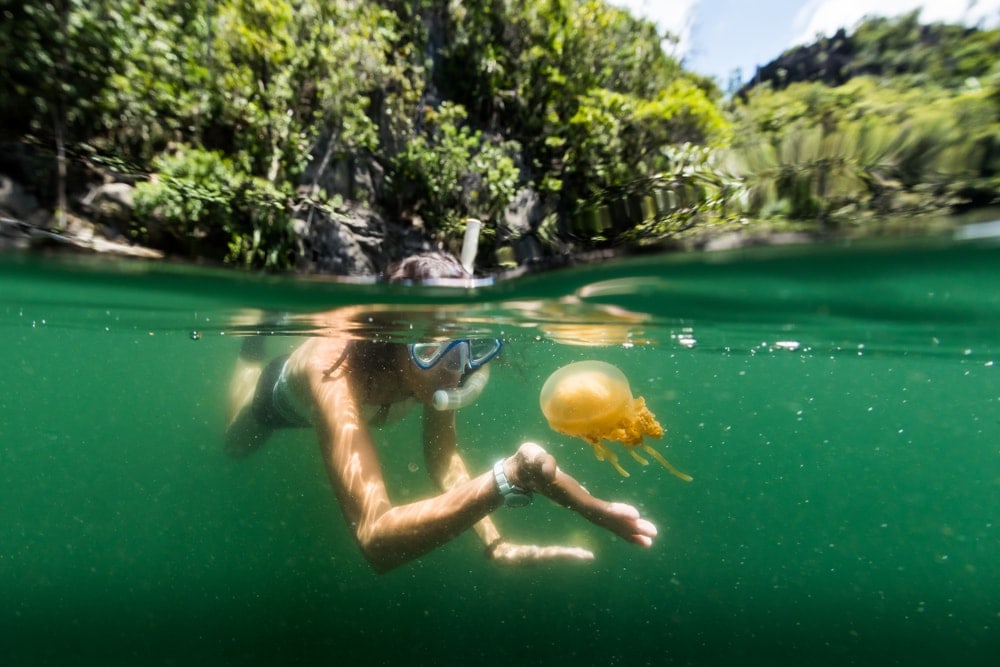 Woman swimming with a jellyfish 
