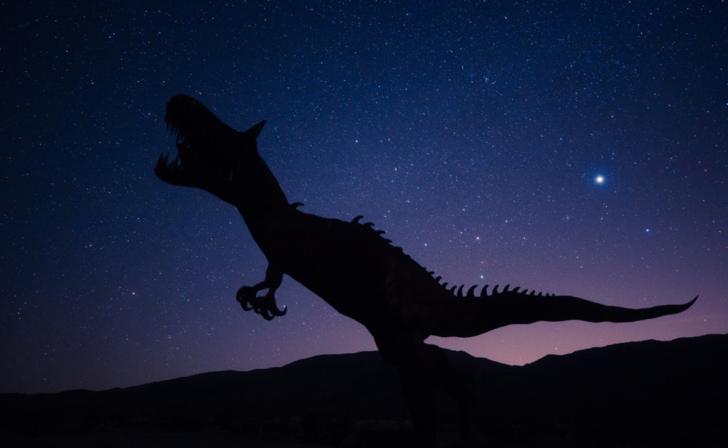 silhouette of a T-rex under a starry sky