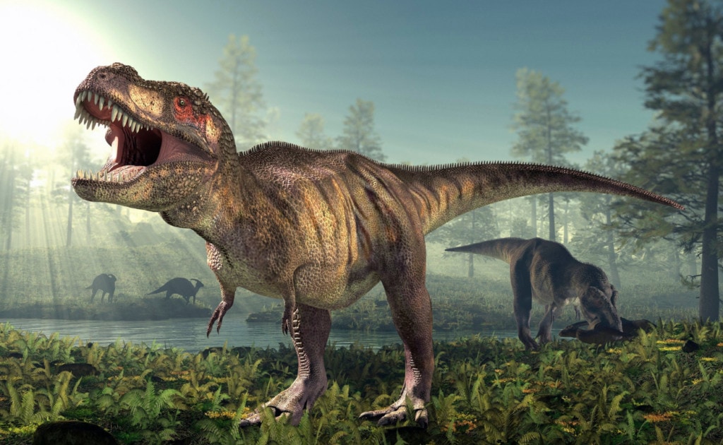 Image of a T-rex, the most likely one to have the strongest bite force of any land animals to ever exists, during the dinosaur age