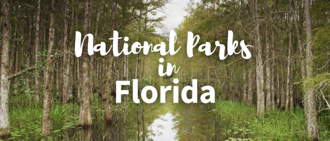 National Parks in Florida featured photo