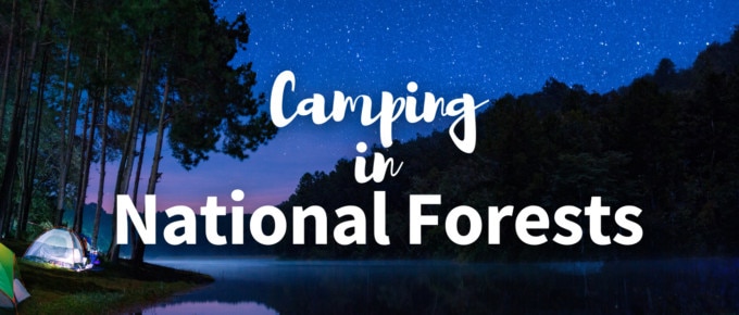Camping in National Forest featured photo