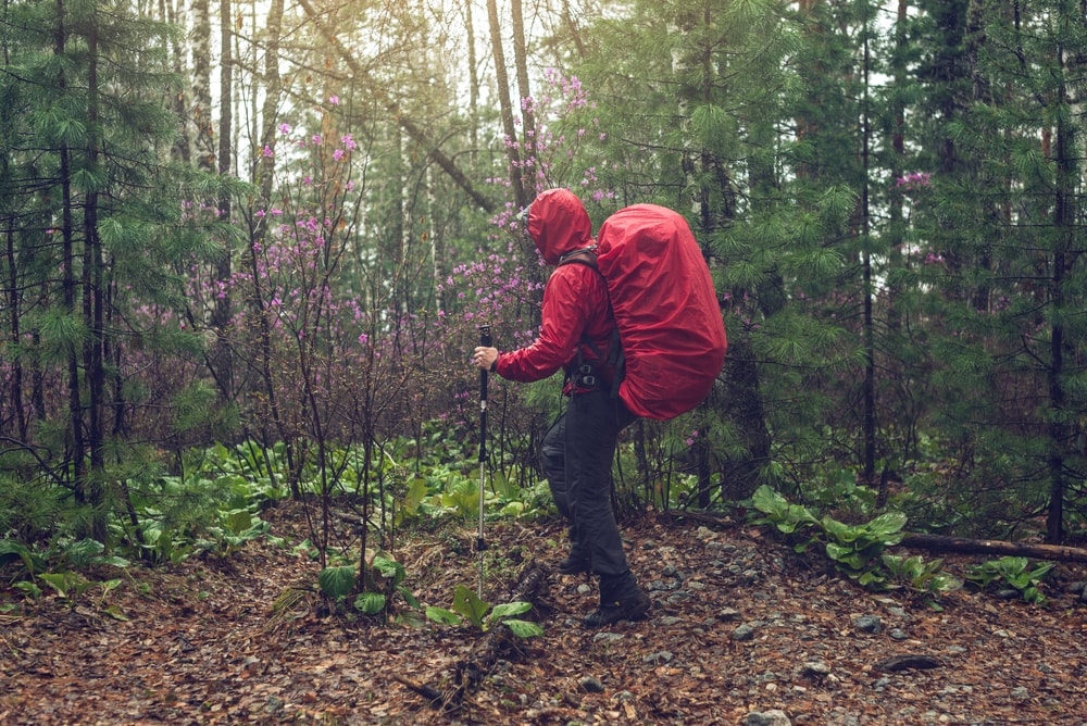 Guy in red coat hiking in the woods