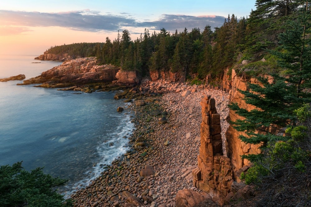 Tall Pine trees on the cliff at Acadia National Park in Maine