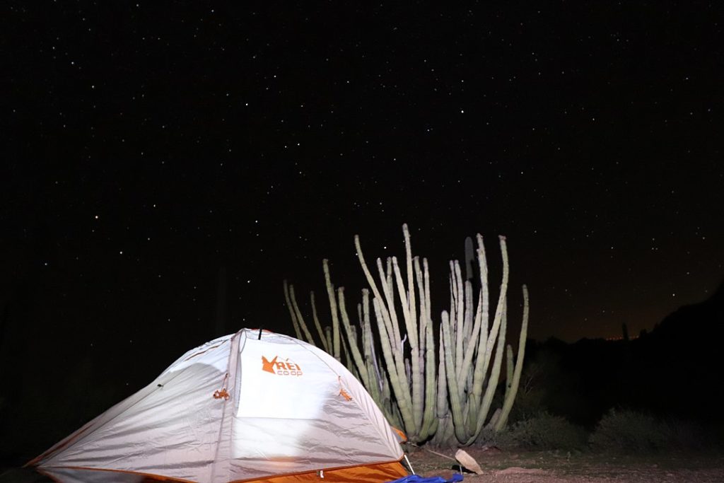 Arizonal campground tent site