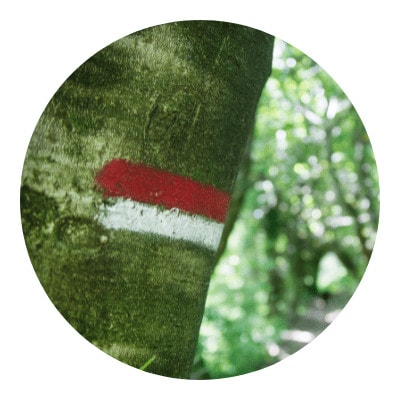 Marked trails icon