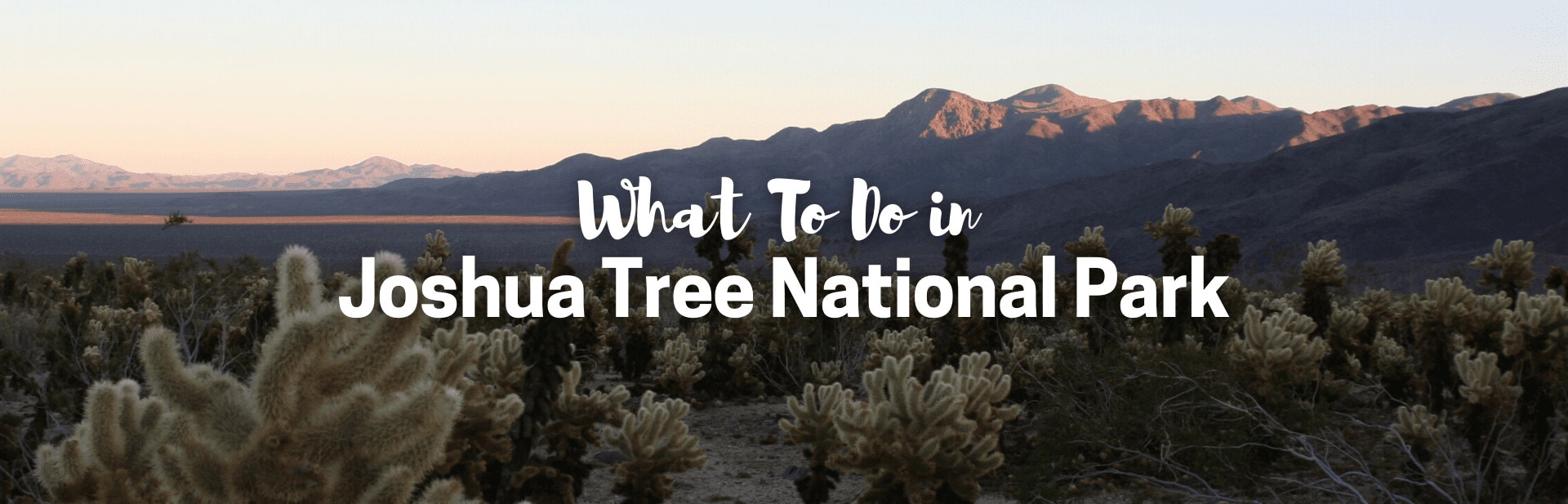 What to do in Joshua Tree: The Ultimate Guide