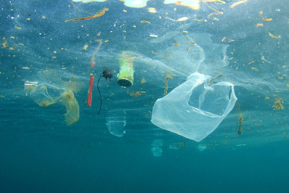 Plastics and wastes floating above the ocean