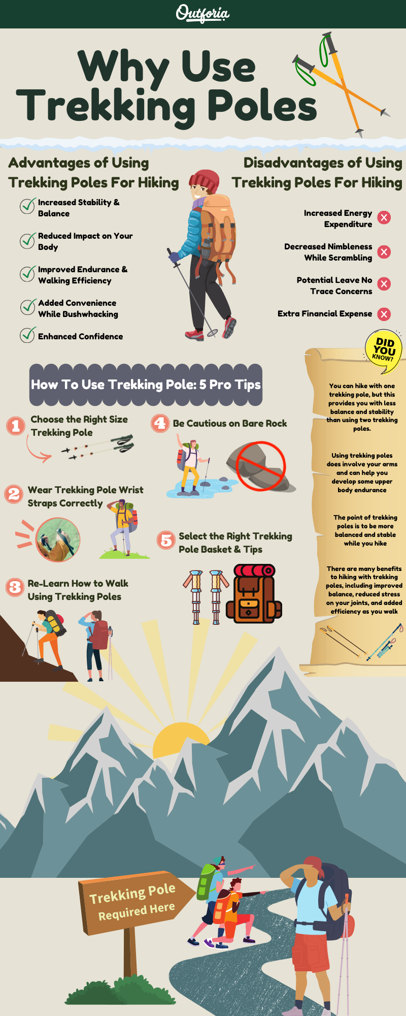 Why use trekking poles infographics