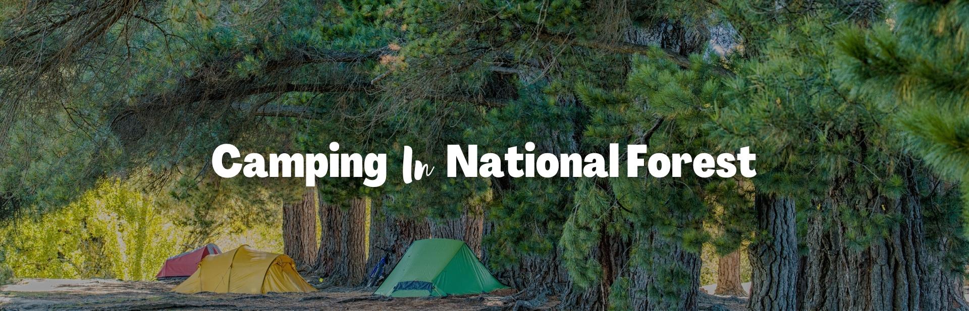 Camping in National Forests: Your Ultimate Guide