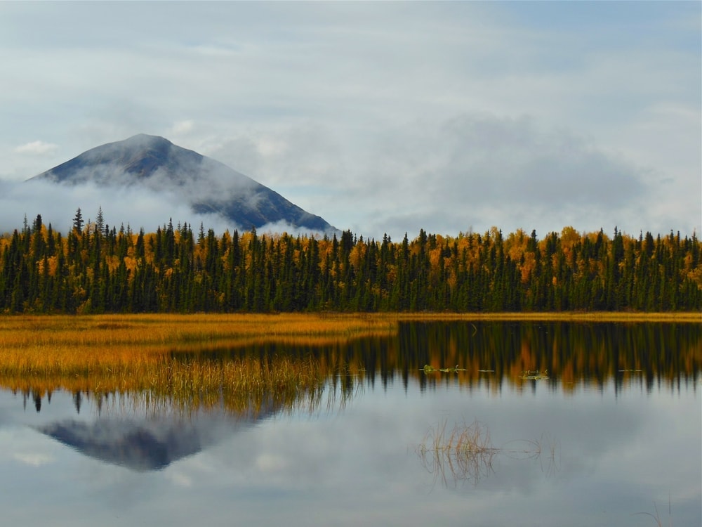 Fall colors in the reflection in the lake at Lake Clark National Park
