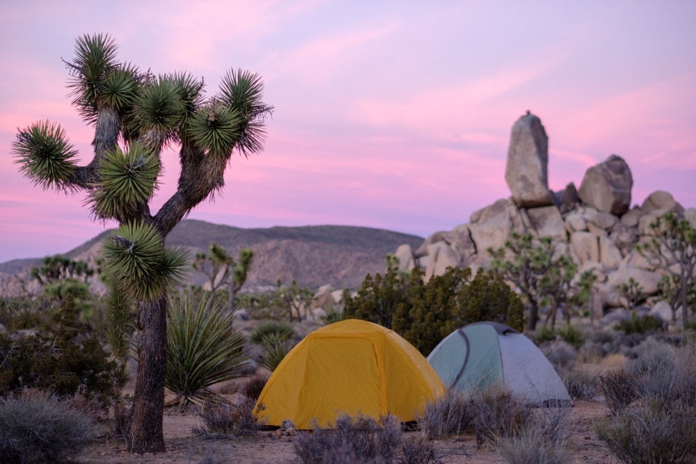 things to do in joshua tree,  camping tents at Joshua Tree national park