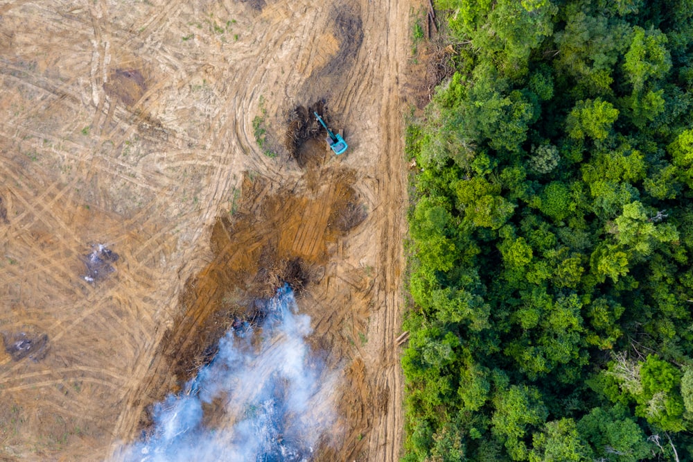 Aerial view of deforestation, clearing of trees for an agricultural plantation