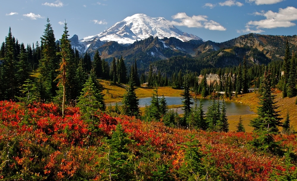 Autumn colors on Mount Rainier National Park in Washington State