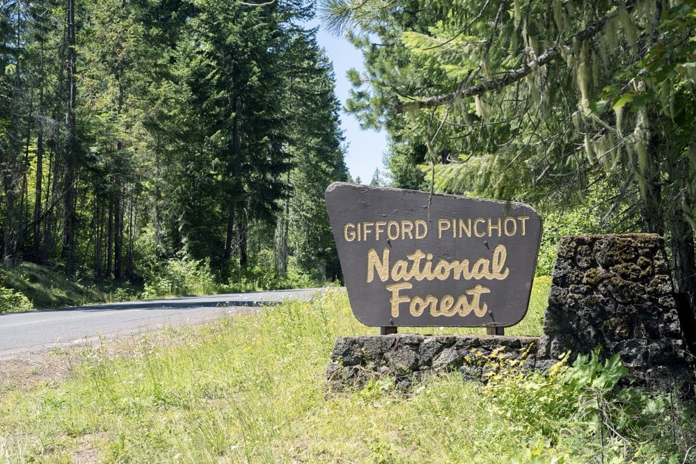 National Forests Signage
