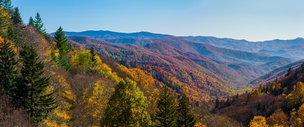 Autumn colors at the Great Smokey Mountain National Park
