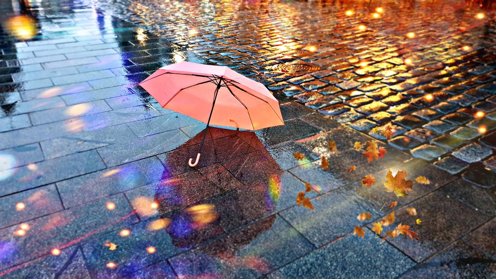 umbrella on a wet ground after a rainy weather