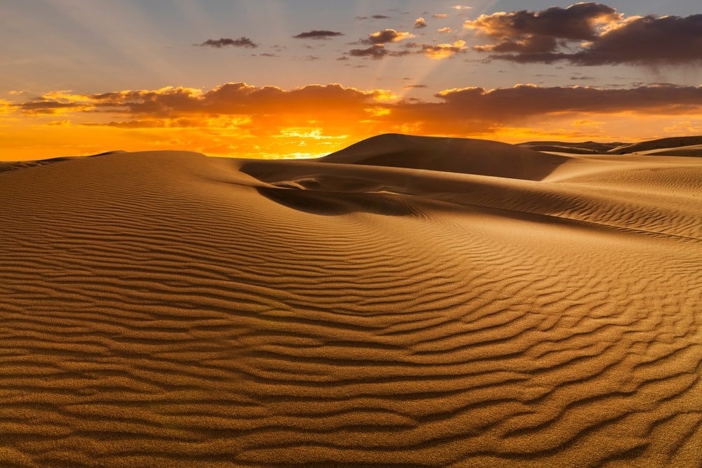 Sunset over sand dunes in Sahara Desert in a desert ecosystem