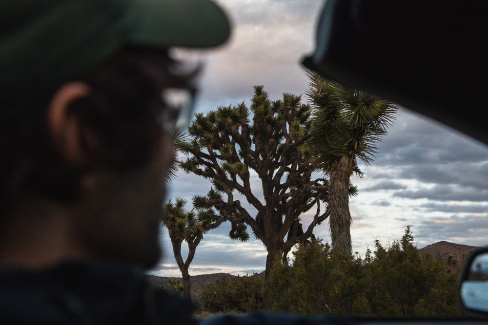Closeup of a man in a convertible looking out at the landscape in Joshua Tree, CA