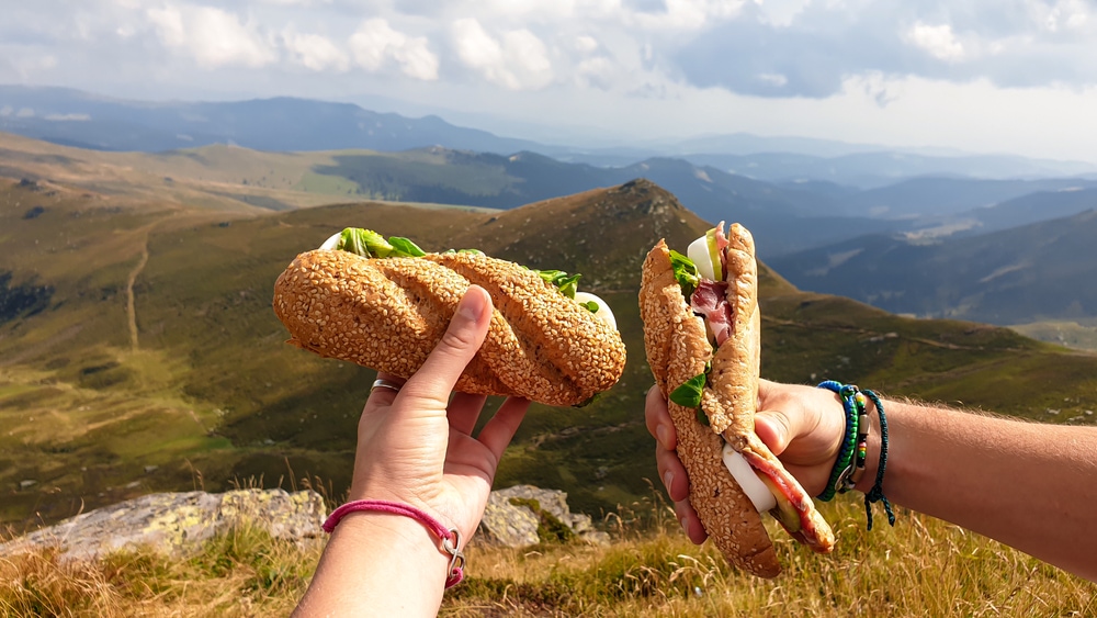 Two hands holding sandwiches with the view of high Alps