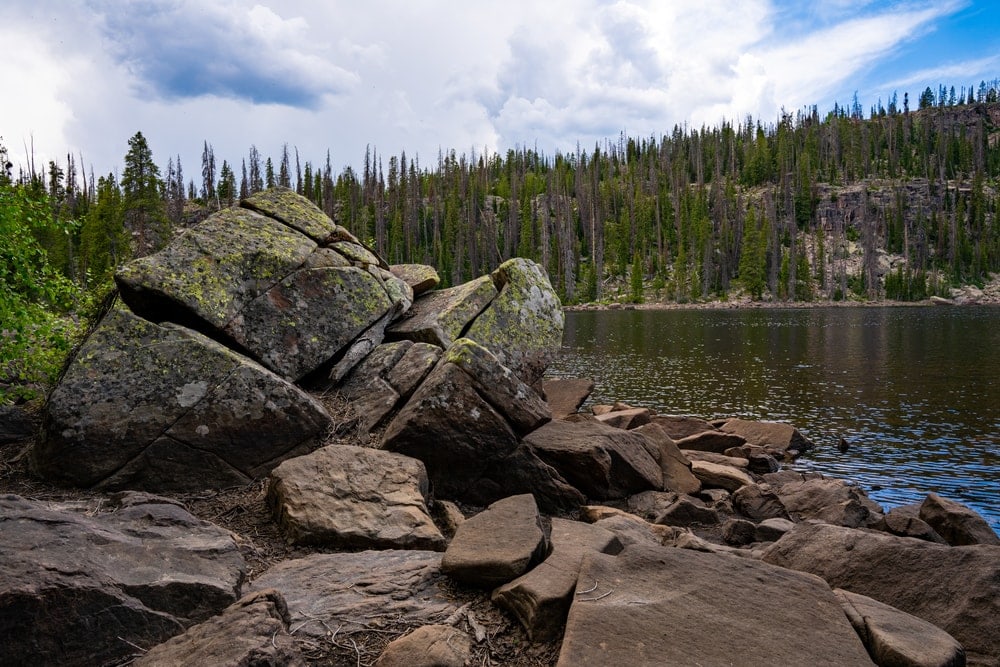 Rocks in Ashley National Forest Utah, USA