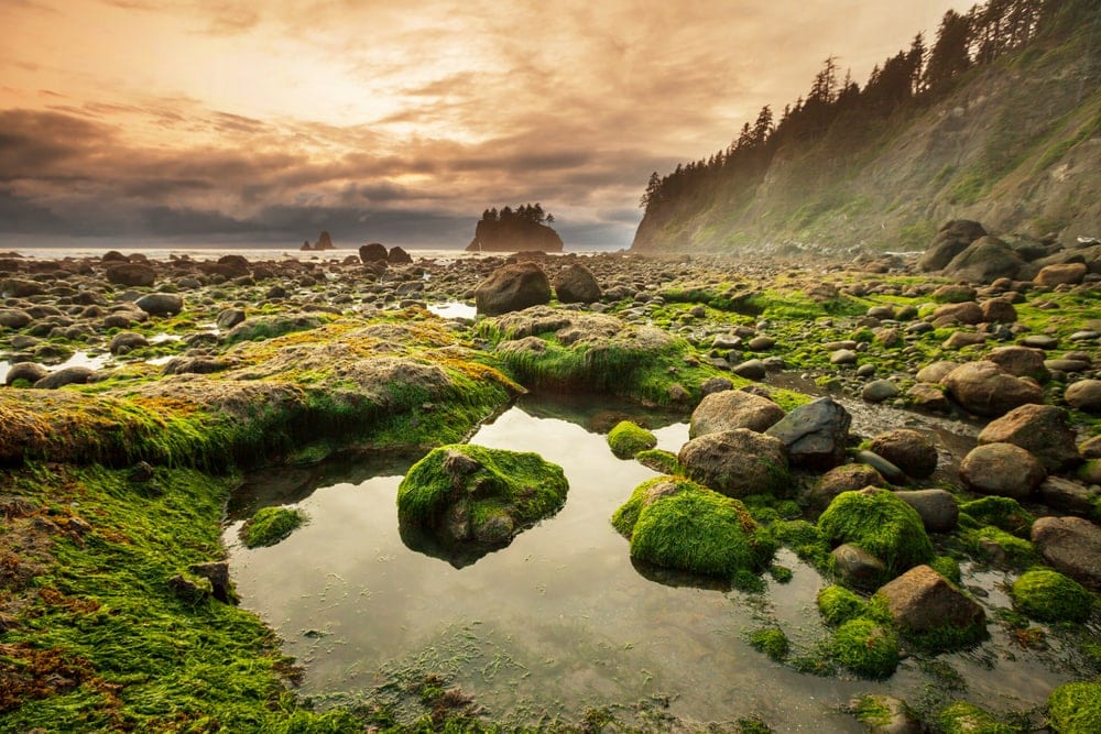 Landscape views in Olympic National Park in Washington Usa