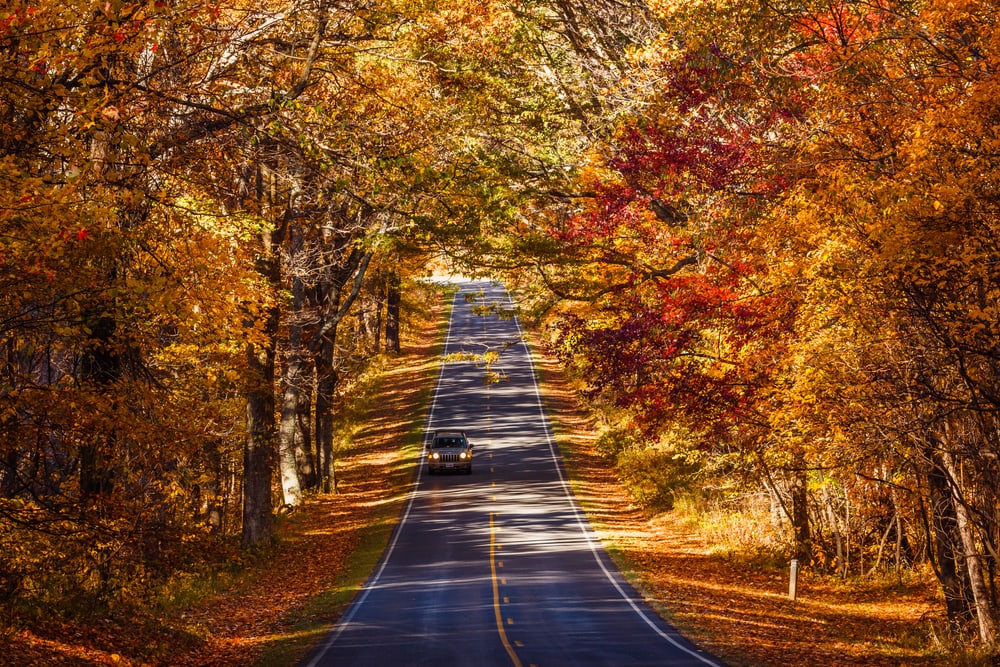 Autumn Season at Skyline Drive. Shenandoah National Park