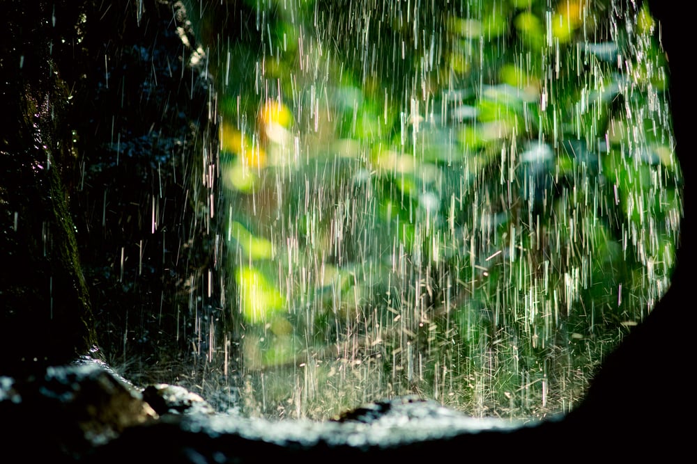 rain falling with nature background