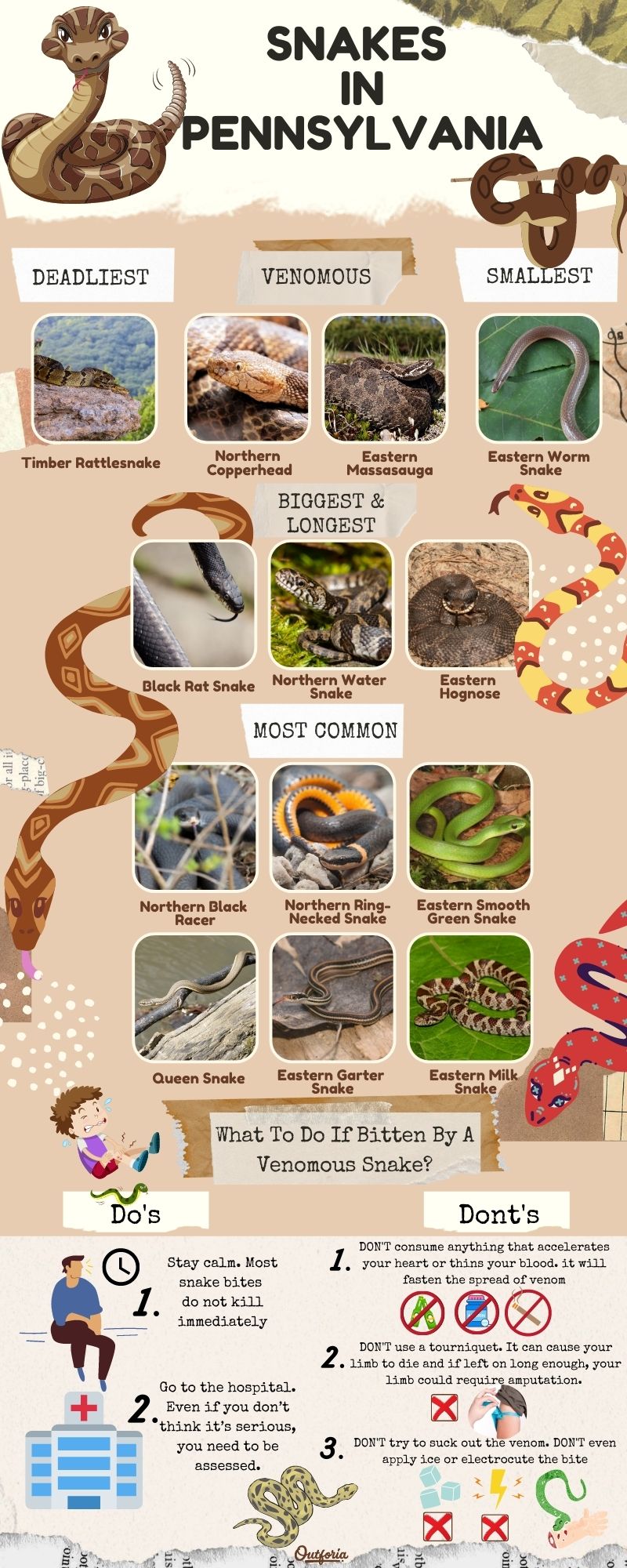 snakes in PA chart