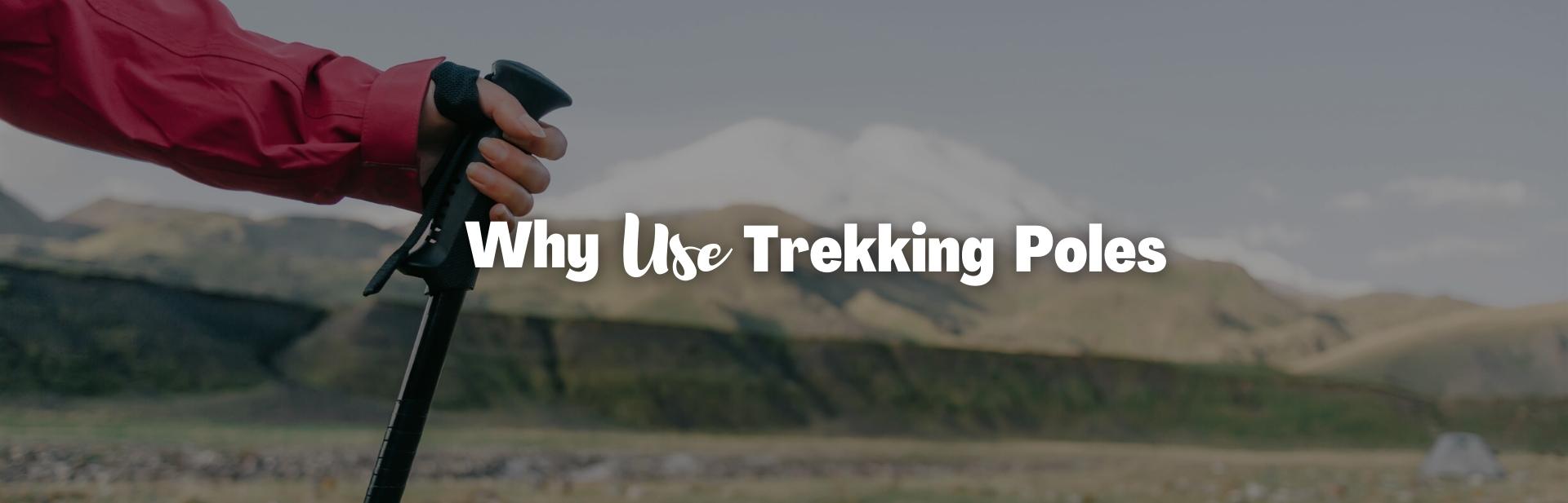 Why Use Trekking Poles?: Advantages, Disadvantages & Pro Tips!