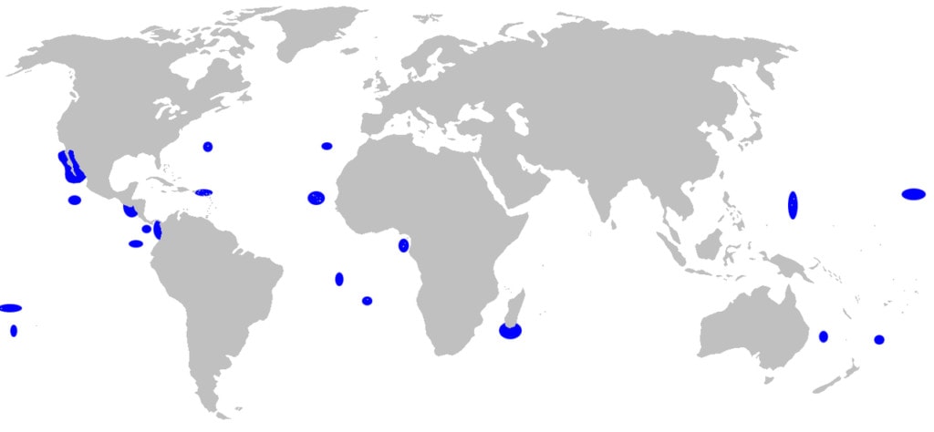 distribution map of  Galapagos Shark