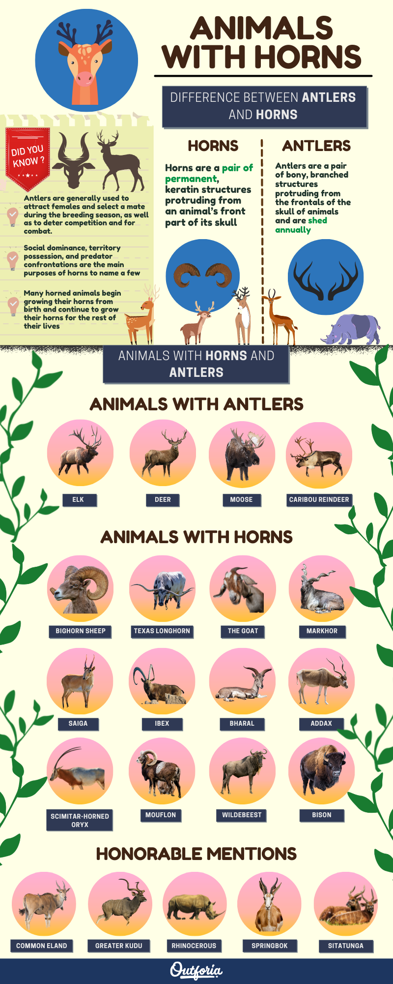 Animals with horns infographic and chart