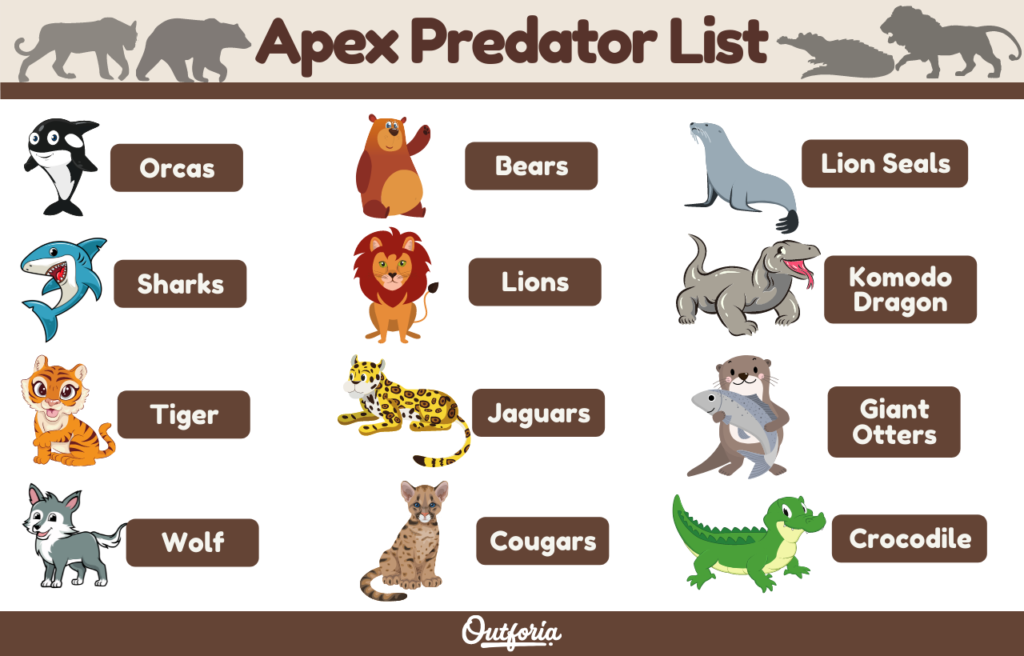 Apex Predator List: The Top 12 Predators At The Top of the Food Chain -  Outforia
