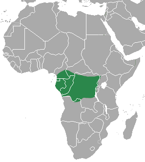 Congo clawless otter distribution map