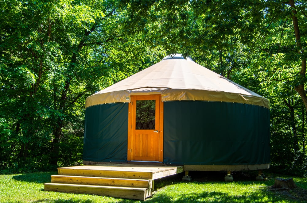 Yurts standing in the middle of the forest
