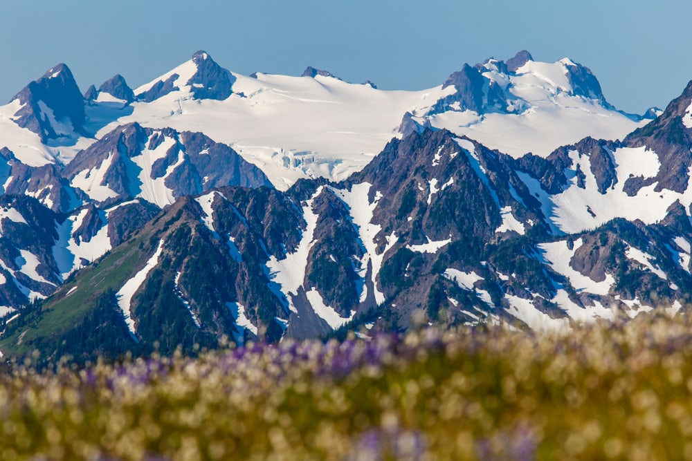 Mount Olympus in Washington covered in ice