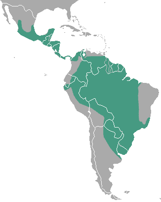 Neotropical river otter distribution map
