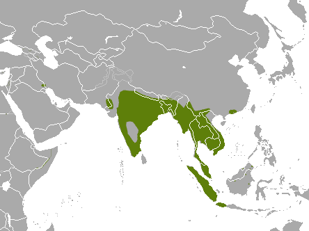 Smooth-Coated Otter distribution map