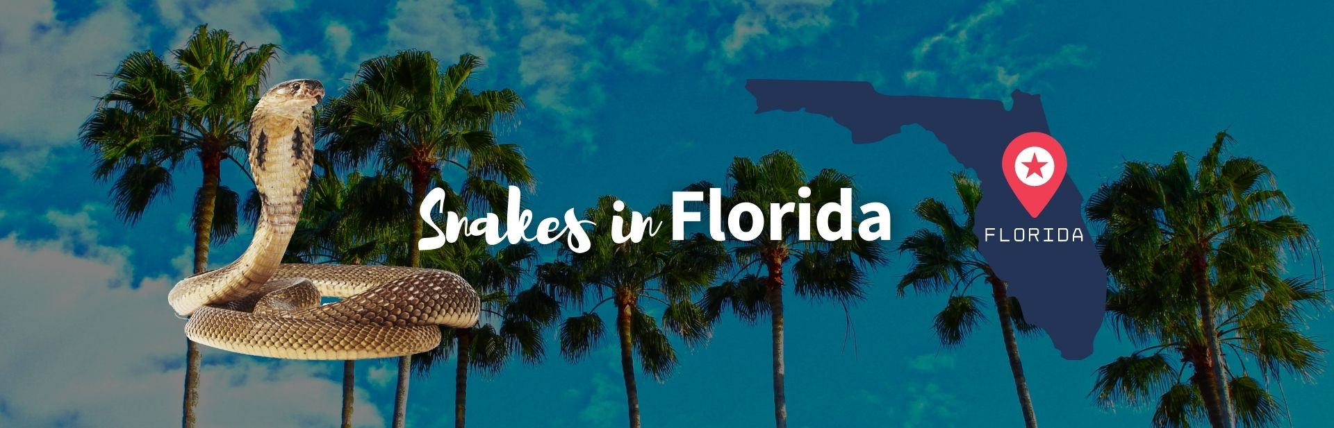 53 Snakes in Florida: Guide to All Native & Invasive Species