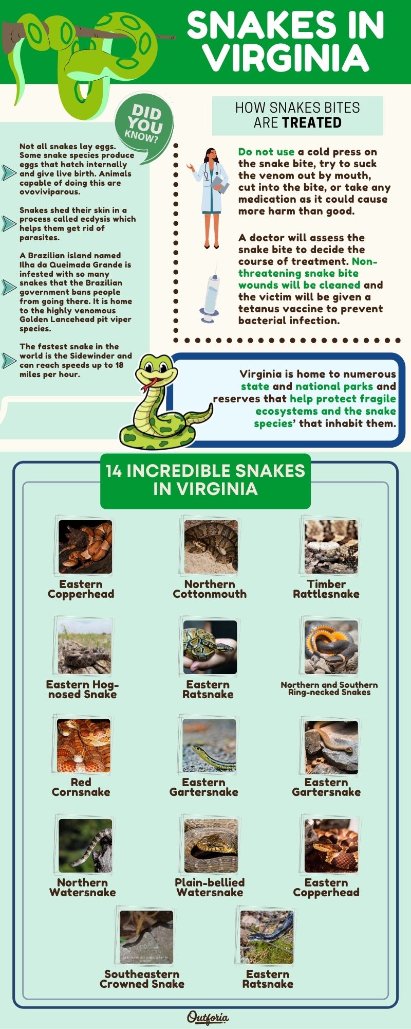 Snakes in virginia chart