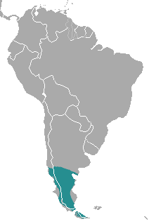 South American River Otter distribution map