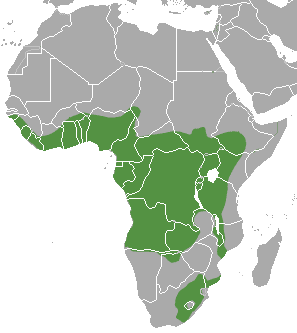 distribution map of Spotted-Necked Otter