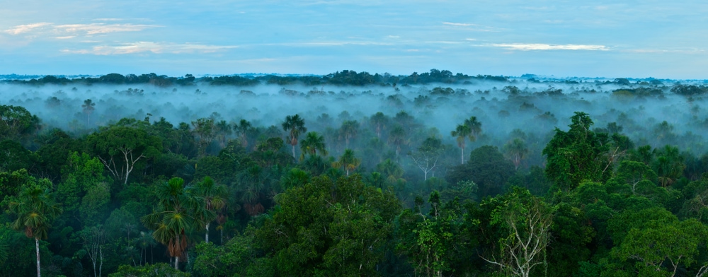 sunrise at the Amazon rainforest