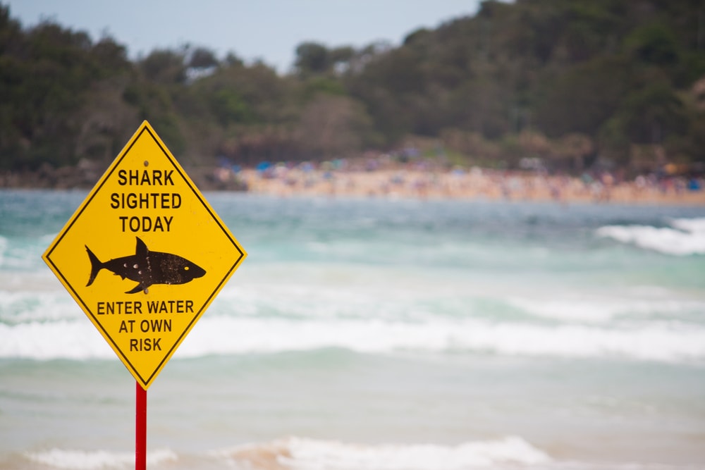 Shark warning sign at a beach