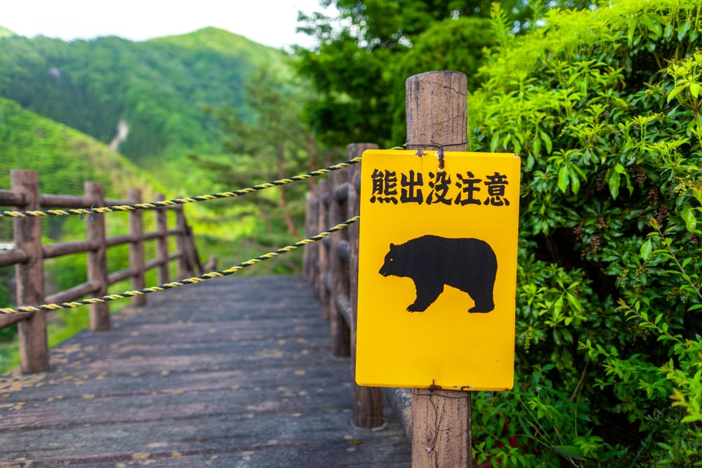 An image of Bear-warning sign. (Japanese translation: Warning Wild bear)